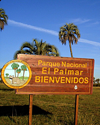 Aménagement de corridors biologiques pour le Vizcachas et sensibilisation des visiteurs du Parc National El Palmar à la préservation de l