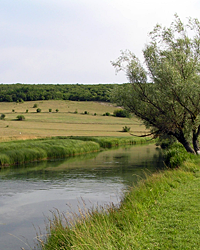 Etude de la dépollution des eaux du bassin versant de la Vouge par les bandes enherbées