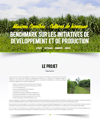 Benchmark sur les initiatives de developpement et de production