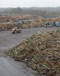 Essais Pilotes de Broyage Solutions techniques France transposables au broyage des bois guyanais pour la biomasse énergie